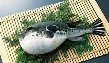 海鲜中毒应该吃点什么,海鲜中毒的症状怎么治