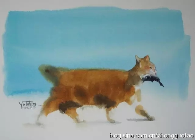 国画水墨写意猫,中国画水墨画猫