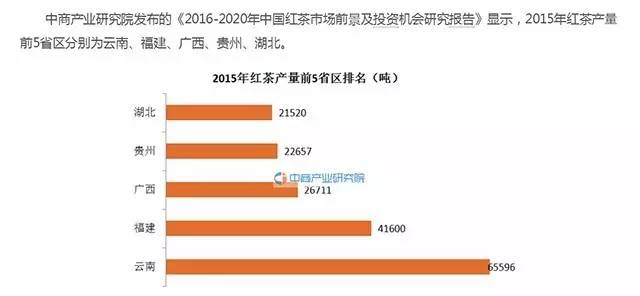 景迈茶爆款,景迈山滇红茶