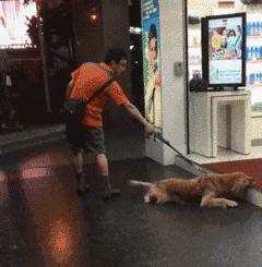 姑娘,别再抬脚了,整个车厢都弥漫着你臭袜子的味道