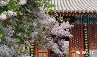 4月整整11天假！瓷器们，这些好消息请查收！