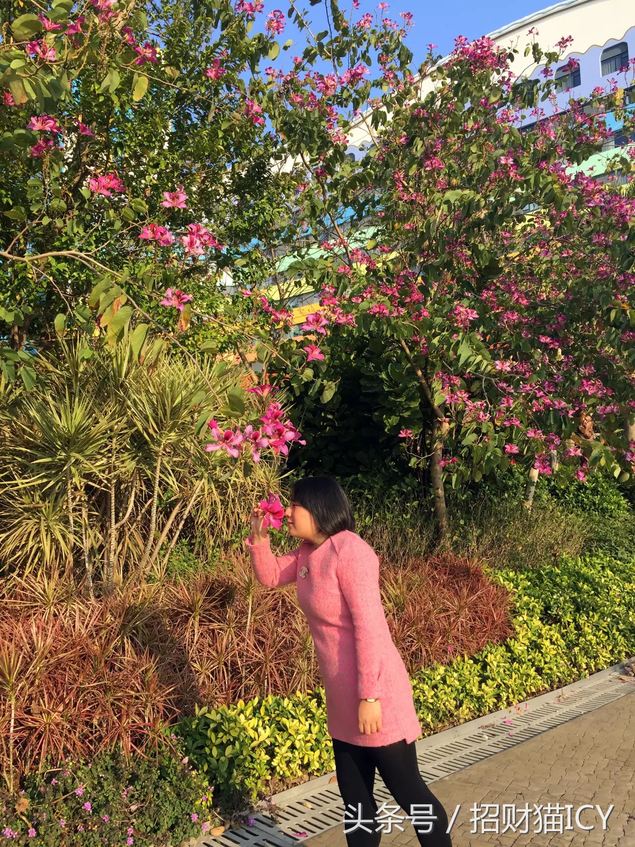 珠海长隆奇幻之旅,广州珠海长隆两天一夜攻略