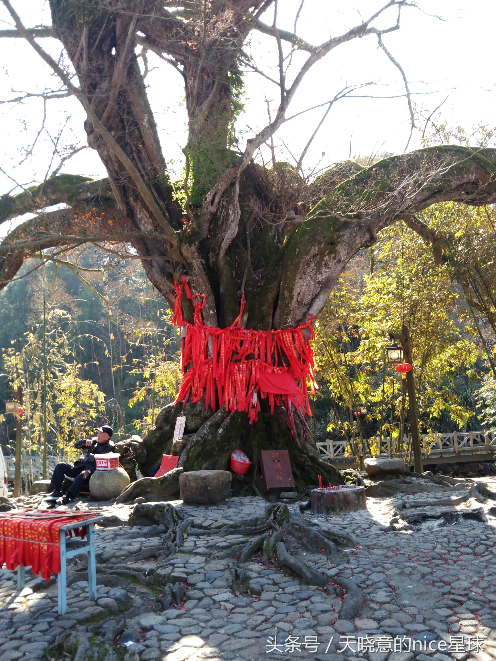 两天一夜，去永定看神秘建筑——土楼