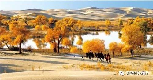 南疆最值得去的几个地方,南疆尉犁的景点