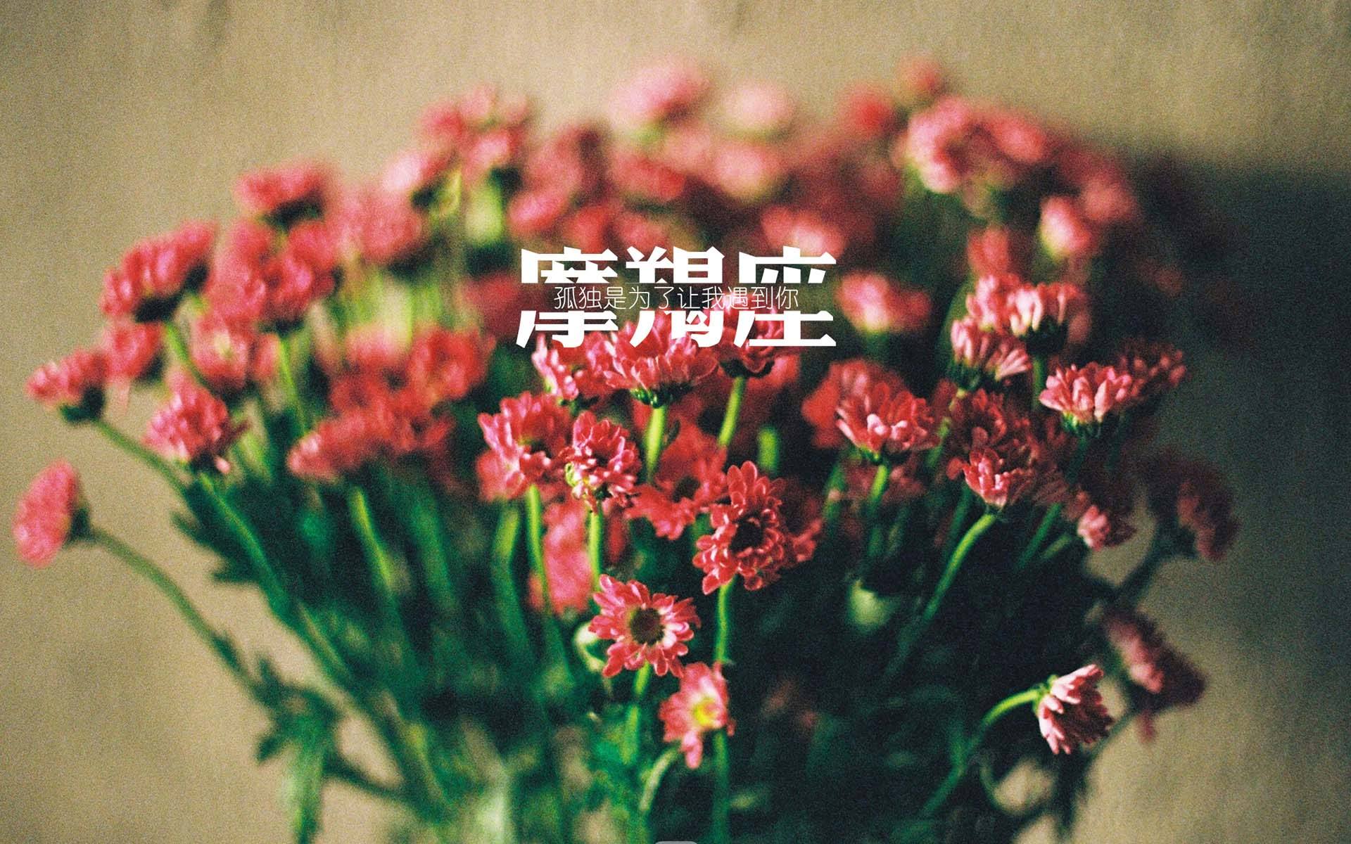 摩羯座女生吸引人的特质有哪些,摩羯座男生的性格特质是什么