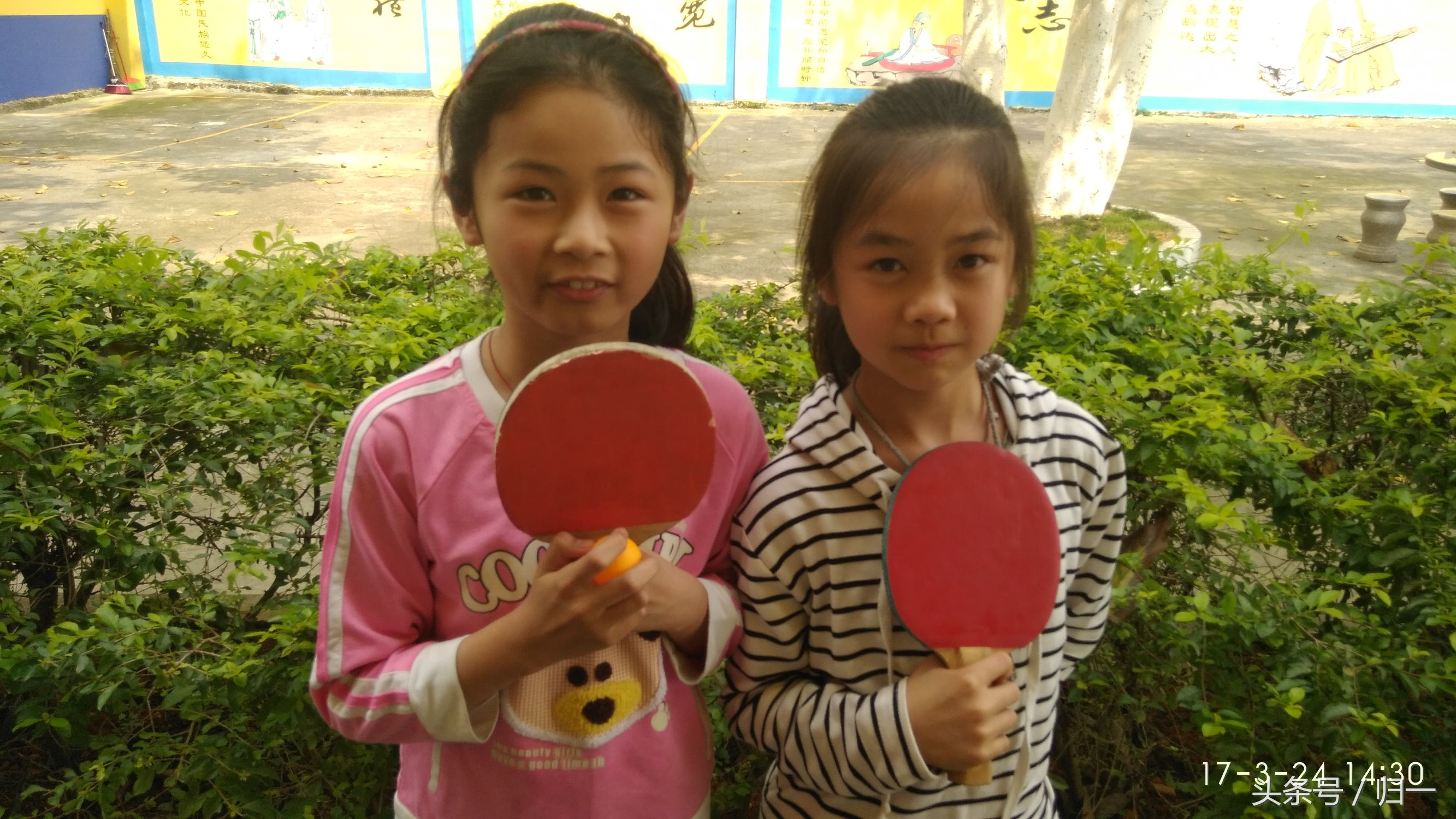 乒乓球足球篮球羽毛球哪个最难,足球篮球谁是世界第一运动