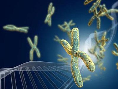 AZD9291耐药的肺腺癌患者怎么办？