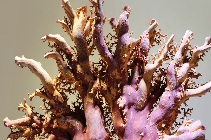 台湾博物馆红珊瑚是真的吗,红珊瑚馆藏品欣赏