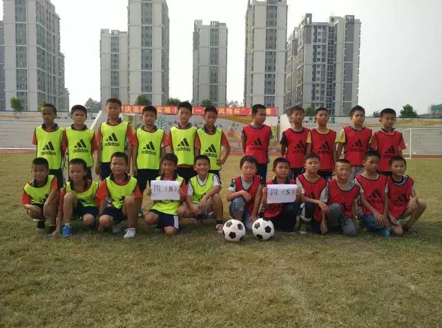 广东足球学校有哪几所,肇庆有国家重点学校吗