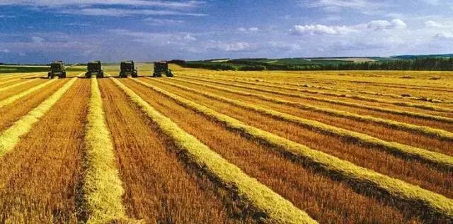 农垦深化改革,农垦改革股票