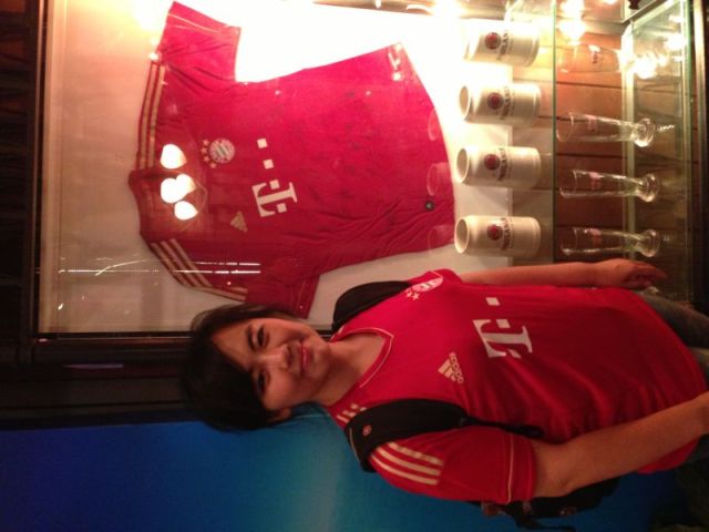 南部之星球迷版,南部之星慕尼黑