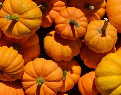 经期吃什么能排清淤血,经期吃什么好排出淤血又能减肥