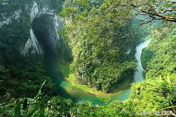 油桐花节完整视频,油桐花旅游节