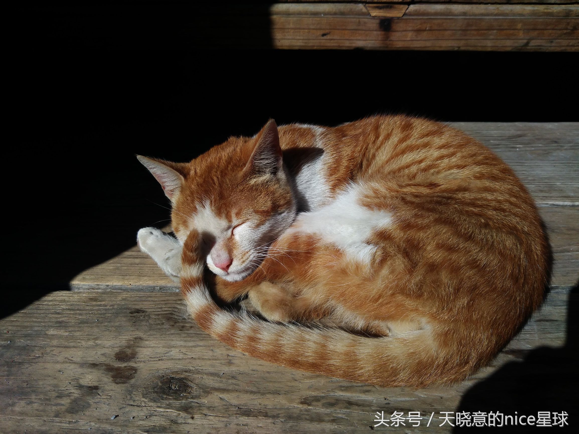 两天一夜，去永定看神秘建筑——土楼
