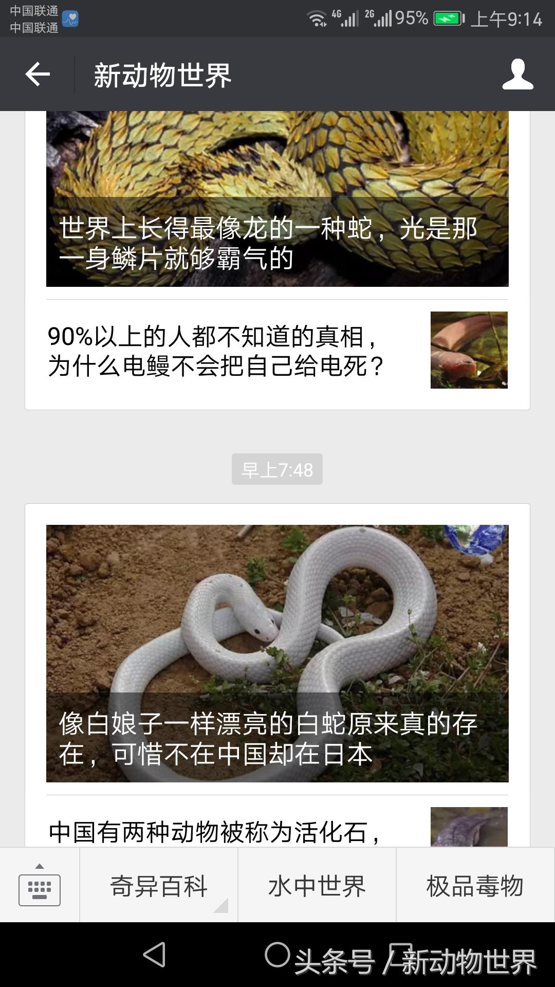 毒蛇和眼镜蛇毒液,毒蛇眼镜蛇的毒液