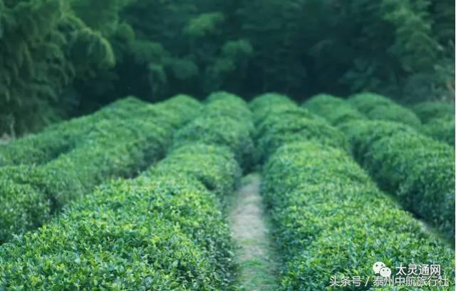 清明假适合去哪里玩,清明去哪玩好3天假