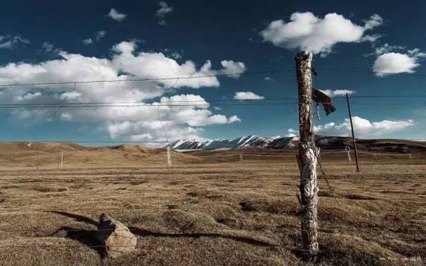 每天听一首民谣计划：第28天，《怎么办》，蒋山