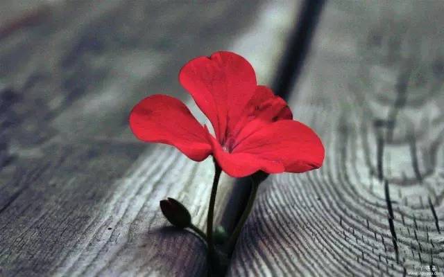 今日合肥油价92号汽油价格,合肥明天油价92汽油优惠