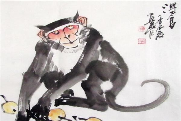 生肖属猴人2016年运势,1980年属猴未来5年运势