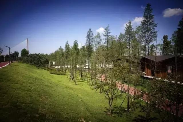 武昌江滩汉口江滩汉阳江滩,汉阳江滩汉口江滩武昌江滩