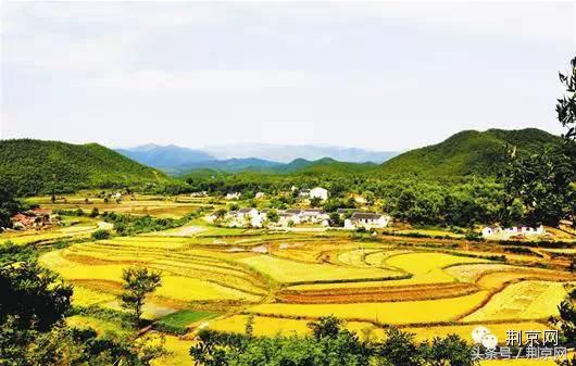 浜北鐨勯剛涓豢瀹濈煶,浜北鍥犱粈涔堣绉伴剛涓豢瀹濈煶