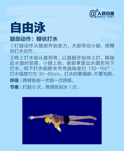 游泳教程小学生不用憋气,实用游泳教程书籍