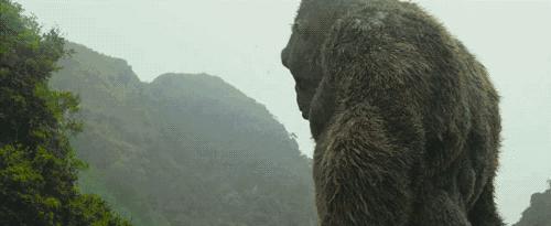 哪里能看到金刚骷髅岛,金刚骷髅岛神秘大揭秘