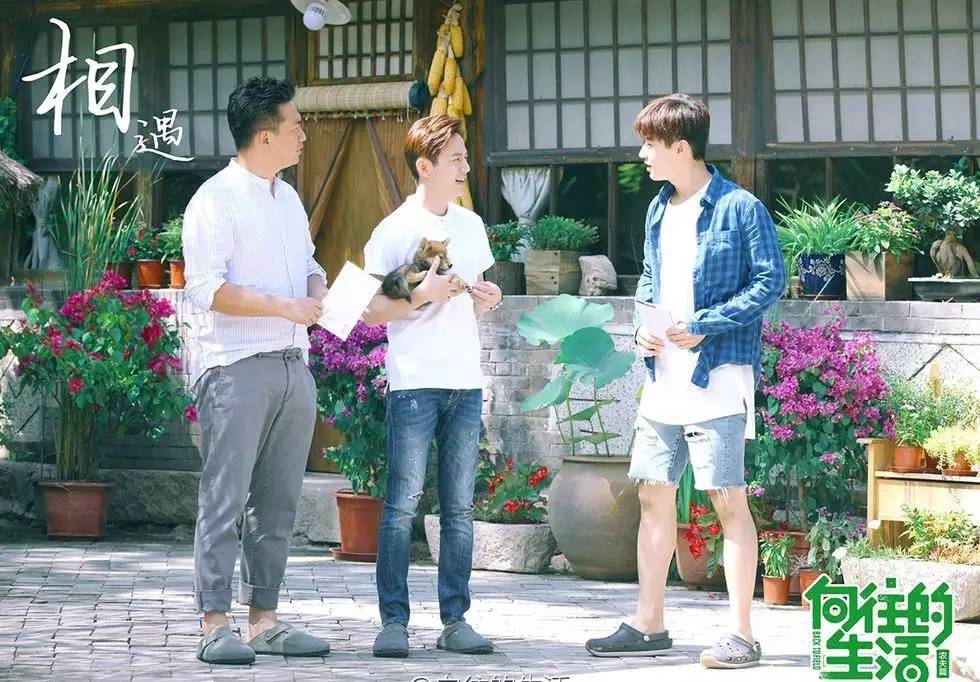 向往的生活口碑最好的一期,向往的生活每一期套路