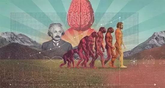 杨老师讲如何培养孩子记忆力,杨老师怎么培养孩子