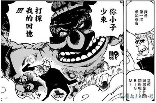 海贼王大妈的情报,海贼王山治大妈篇