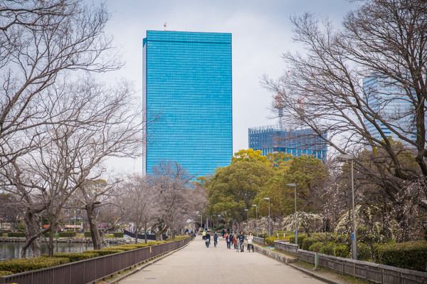 樱花烂漫几多时完整版,日本樱花节赏樱攻略视频大全