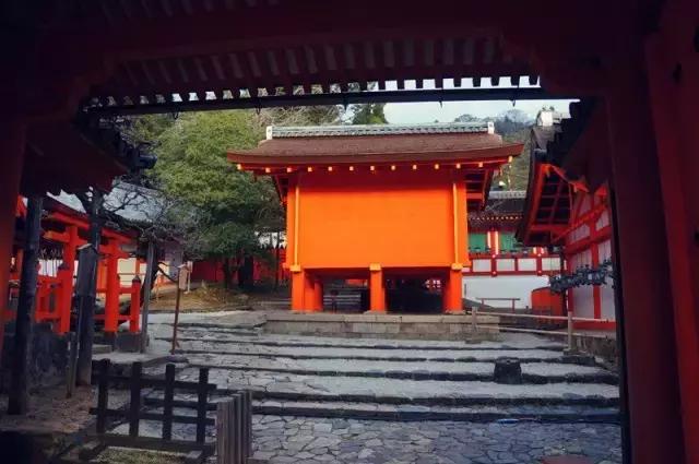 日本奈良看小鹿,日本奈良看小鹿视频