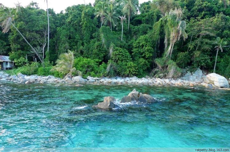 在孤独小岛上追蜥蜴、为岛民演奏音乐、玩浮潜、品冰咖啡，好享受