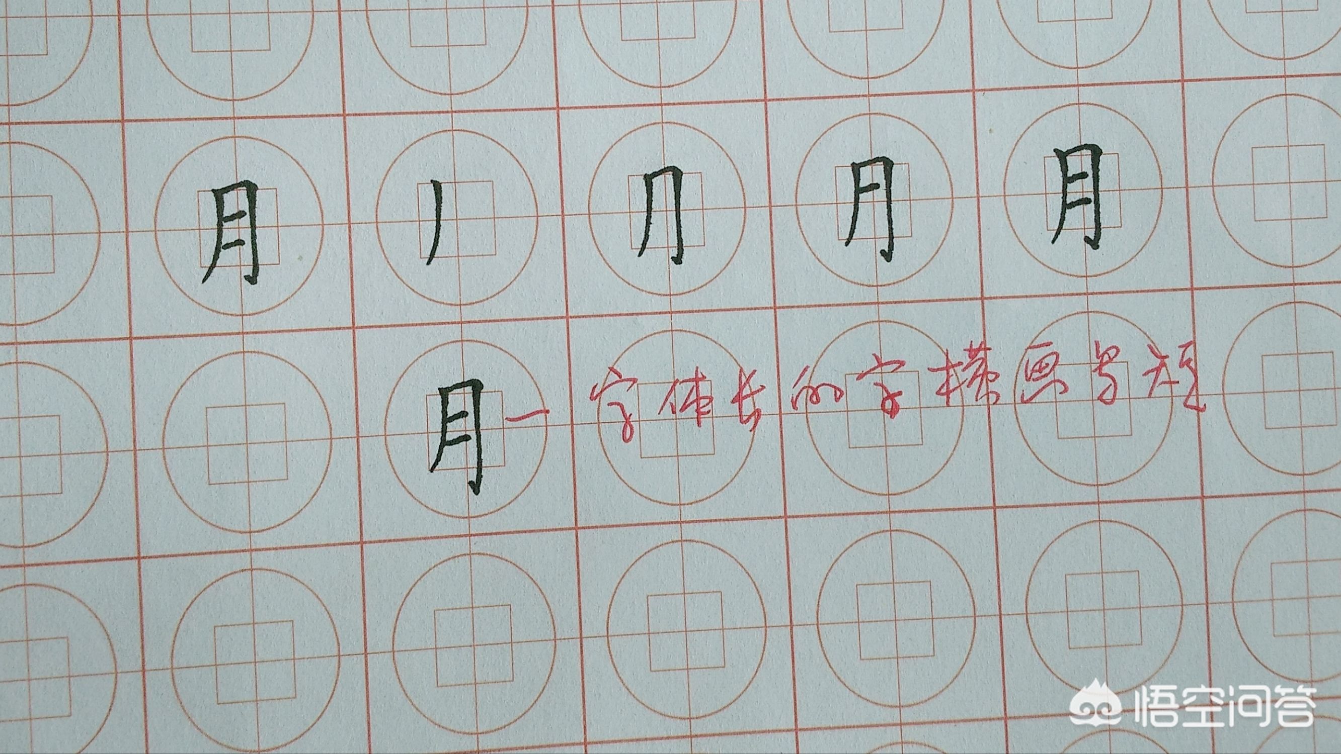 一年级语文生字笔画笔顺专项练习,一年级语文一个接一个生字笔顺