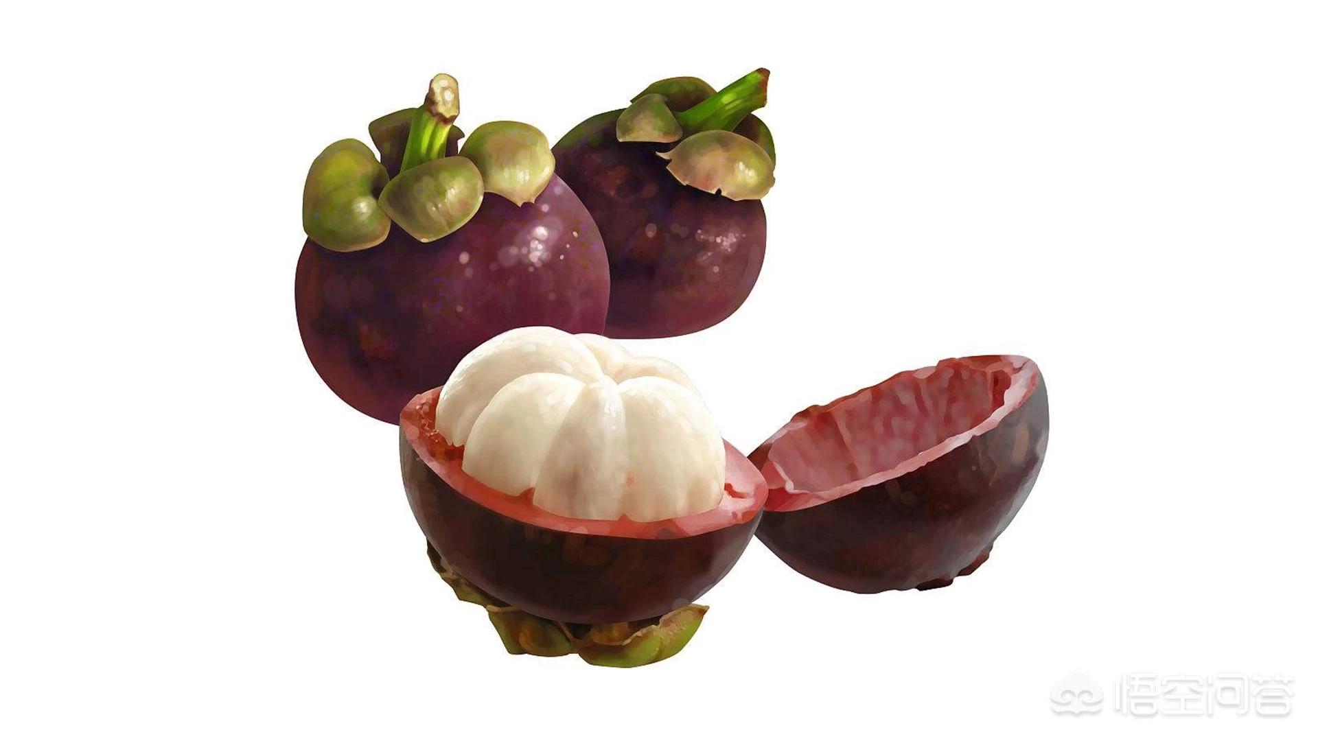 山竹为什么很贵科普,山竹口感作用