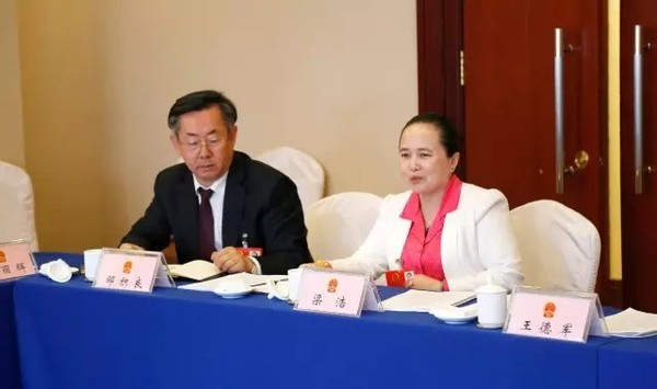 安然纳米与新商业模式,安然纳米简介