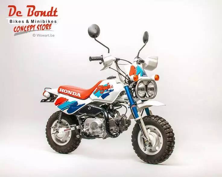 猴年“猴赛雷”——本田的“猴子”们