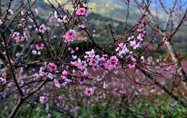河南南阳新一轮强降雨,暴雨南阳部分地区将迎强对流天气