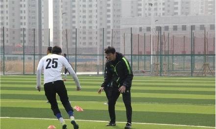 白天入室偷盗被抓视频,白天入室盗窃被抓