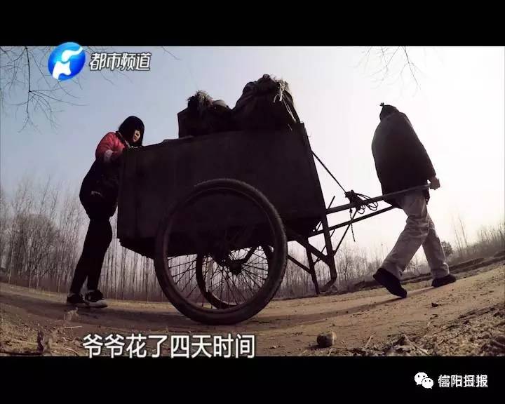 「城事」信阳小女孩无爹无娘，只是想让爷爷奶奶吃顿城里饭