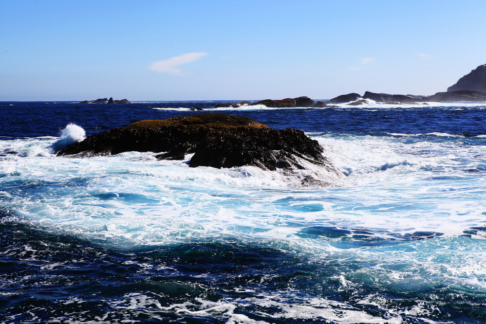 到新西兰旅游有什么好处,新西兰旅游有什么好
