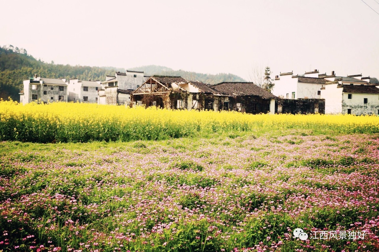 婺源旅游攻略300块钱,自驾游婺源两天旅游攻略及费用