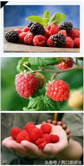 大别山深处的绝美山珍!