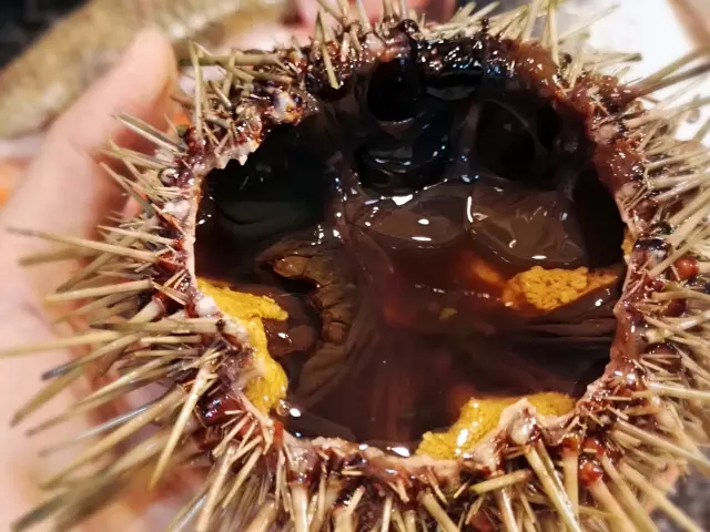 海胆营养丰富，但宝宝不易消化，怎么破？