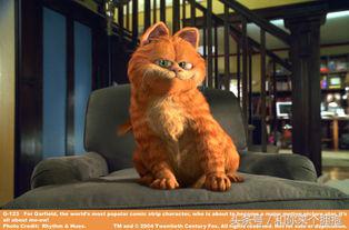 国产动画片90后的回忆,盘点00后小时候看过的动画