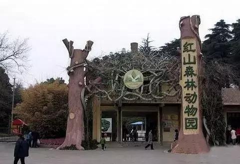 80年代的南京迈皋桥,南京迈皋桥10年前的样子