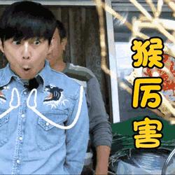 「鱼翅捞饭」震撼出席!一顿胜过十针玻尿酸,不到¥50就能吃?