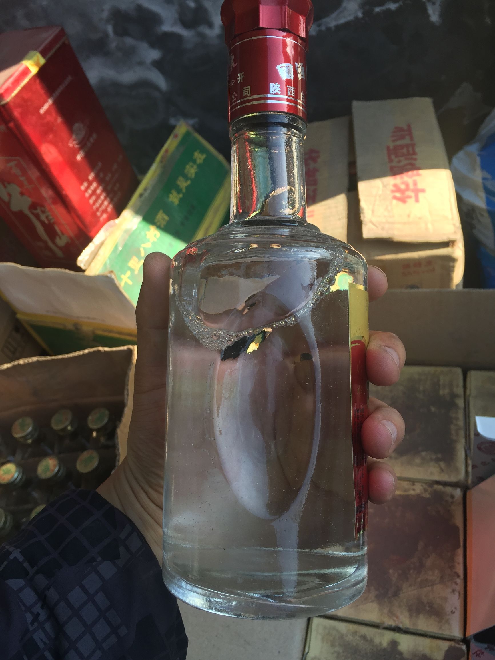 杜康贡酒优5,杜康贡酒招商