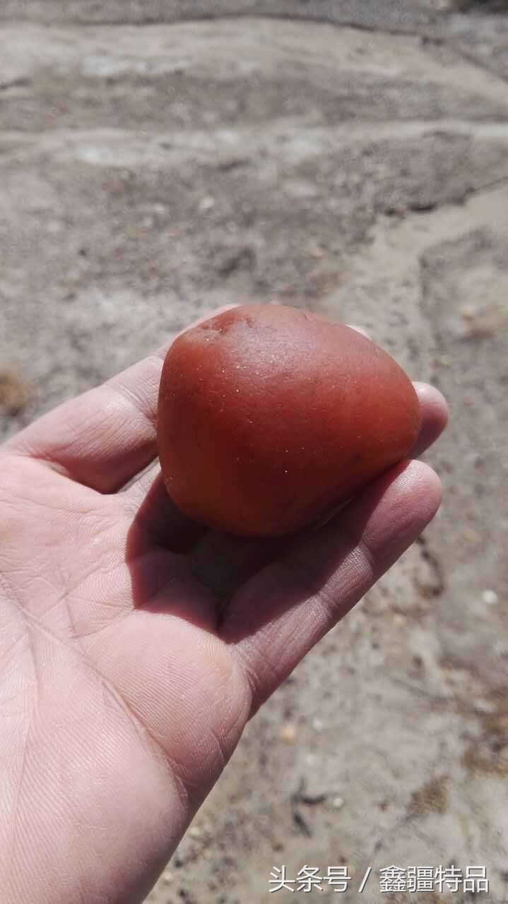 金丝玉宝石光在哪捡,捡金丝玉海蓝宝石的地方