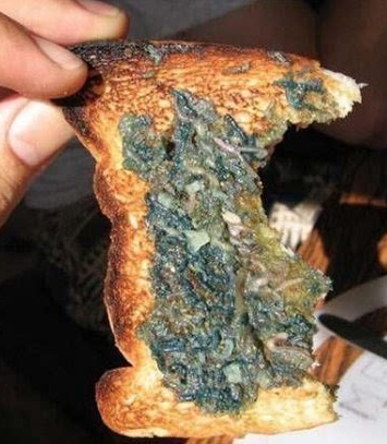 有毒的虫子成为人类的美食,这些奇特的虫子食物你尝试过吗